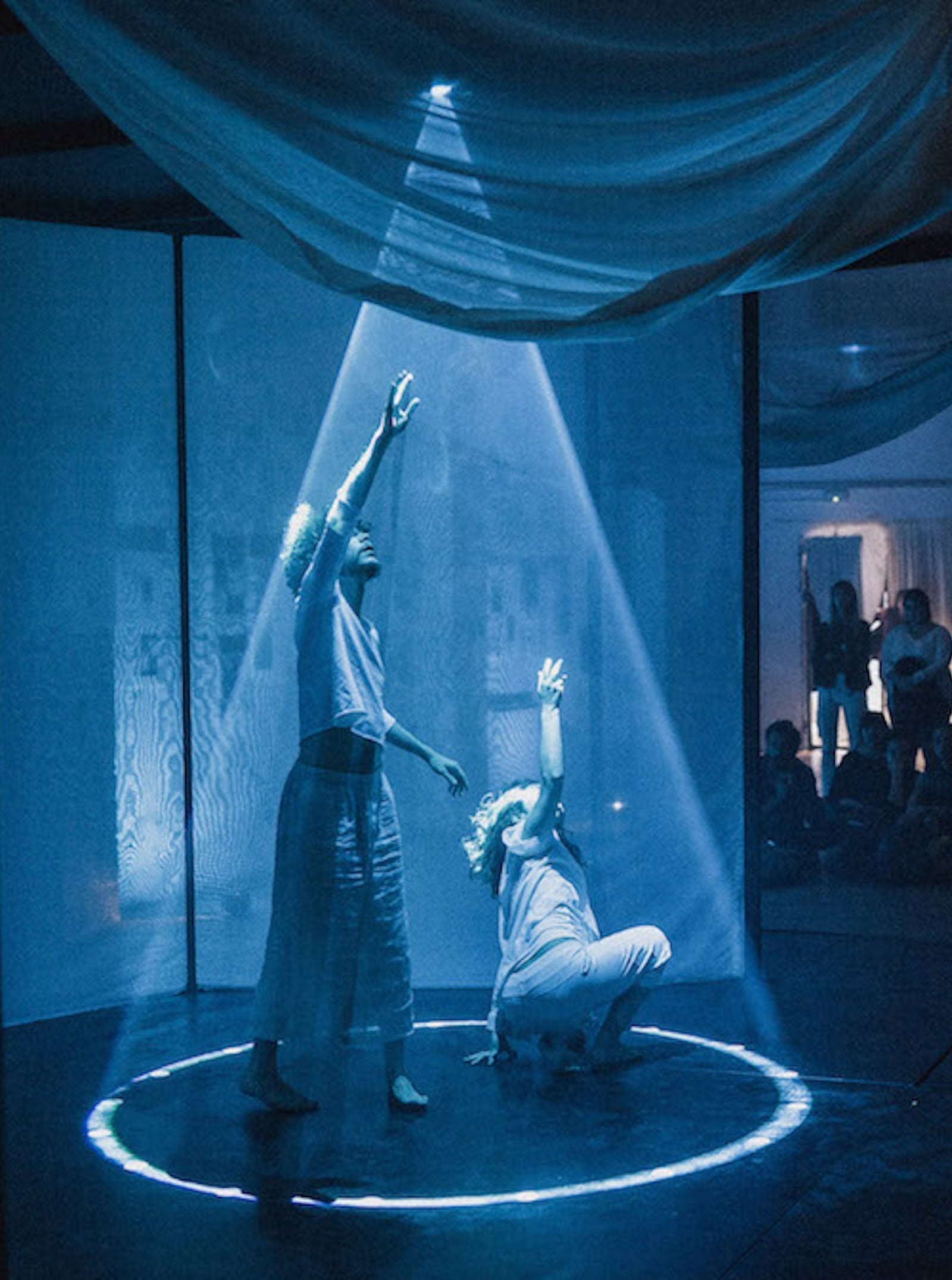 Dansa del Cosmos